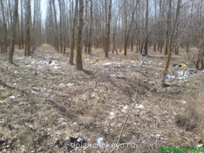 Давайте бороться с мусором в лесу  - 2012-04_Kosa-Dolgaya-4.preview.JPG